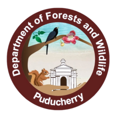 Brand Name : Brand Short Description Type Here.